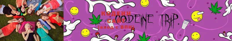 закладки  Благодарный  Codein Purple Drank 